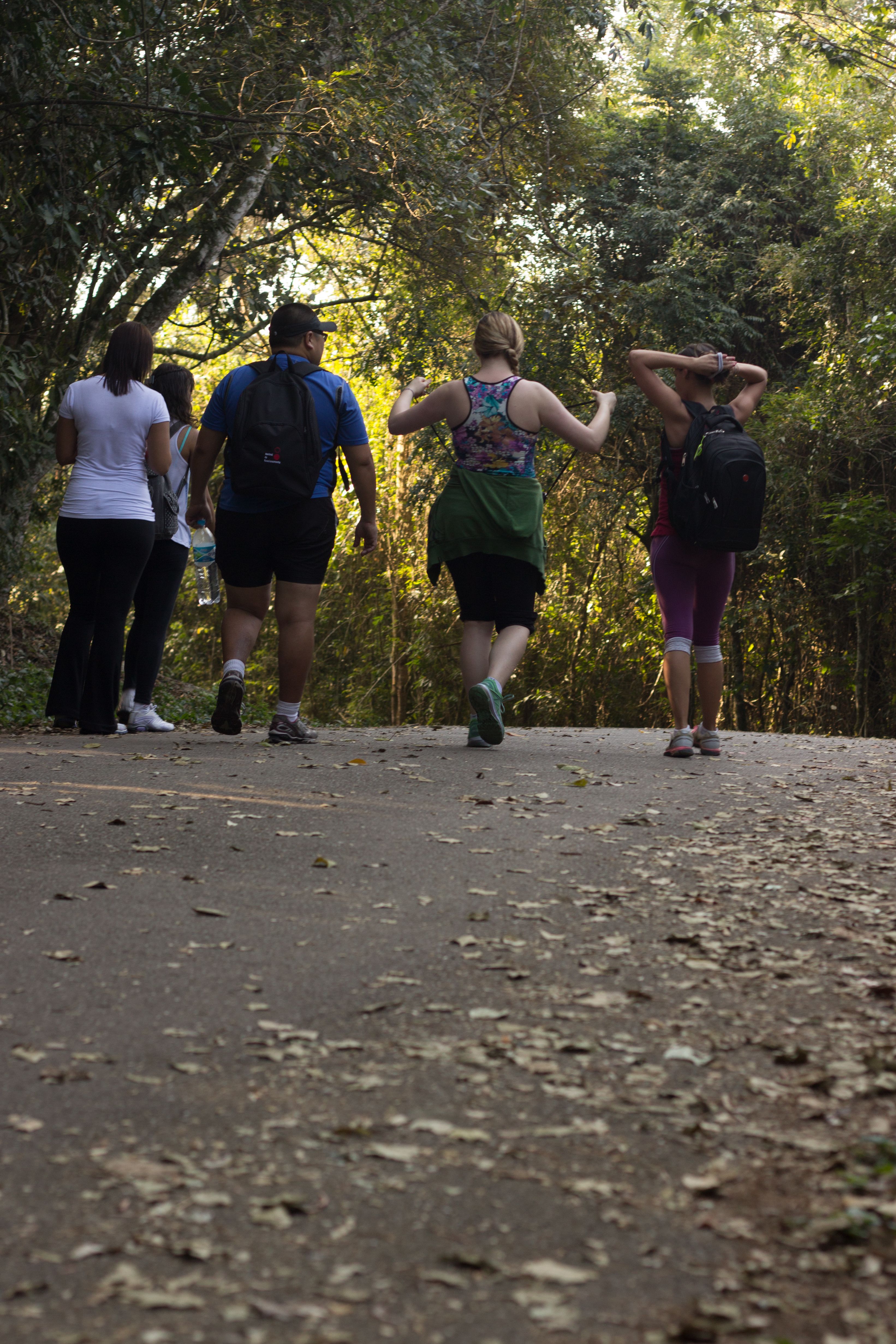 People enjoying a mindful walk outdoors